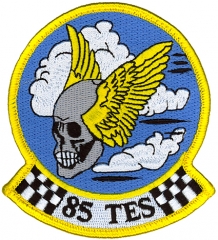 USA patch 85th TES 320