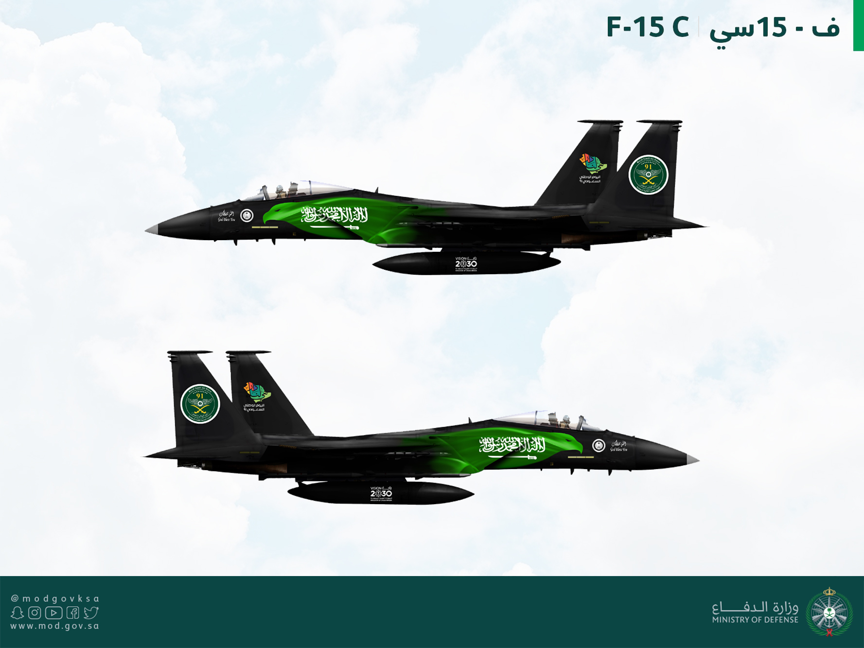 FUERZA AEREA DE ARABIA SAUDITA - Página 2 Saudi_Arabia_RSAF_special_mks_F-15_small