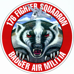 USA 176th FS WIANG Patch 320