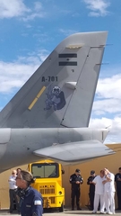 Argentina FAA X Brigada Aerea 320