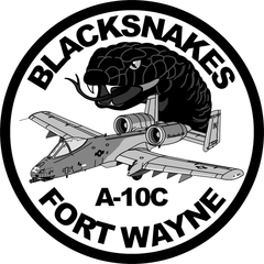 US 163rd FS Blacksnakes patch 320